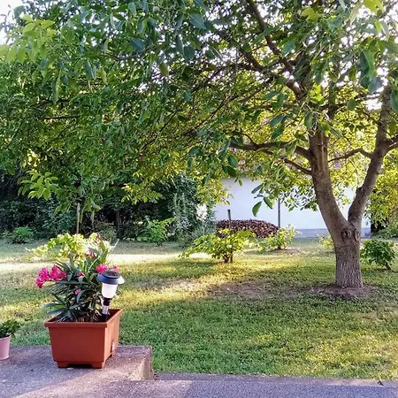 Nárdus Casa vacanze Velence