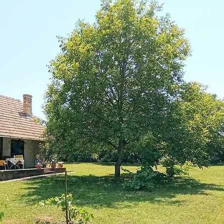 Prázdninový dům Nardus Vendeghaz *