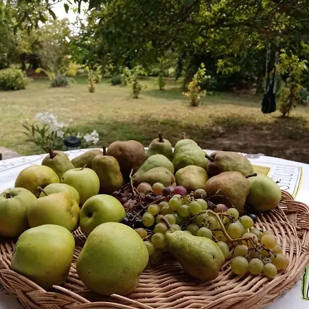 Casa vacanze Nárdus *